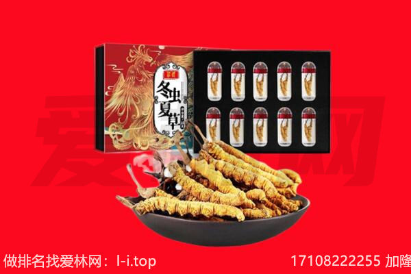 武汉市新洲回收虫草.jpg